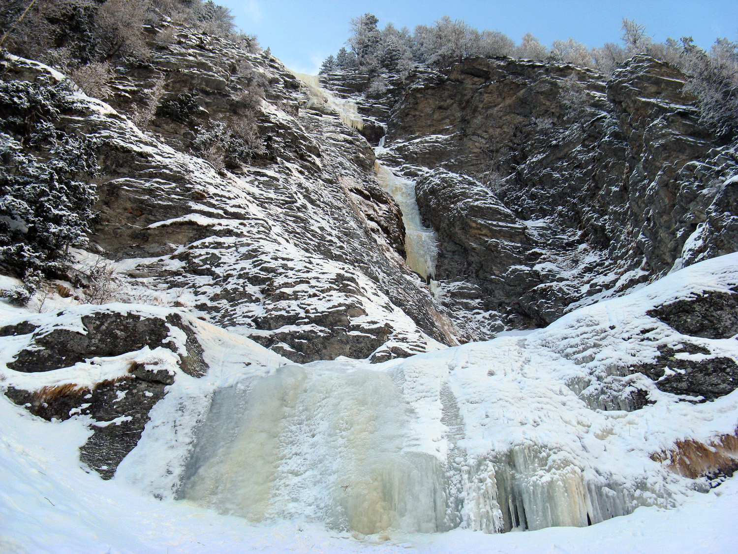 Верхняя часть Mauerblumchen.