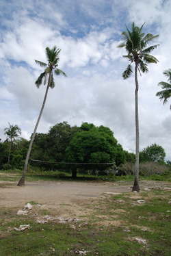 Тропический волейбол.