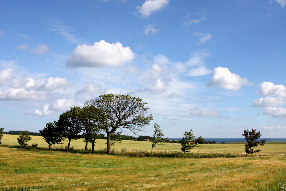 Борнхольм. В окрестностях Аллинге. Around Allinge. Alrededores de Allinge.