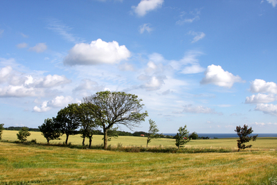 Борнхольм. В окрестностях Аллинге. Around Allinge. Alrededores de Allinge.