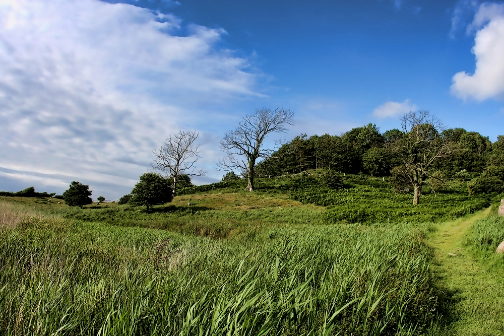 Борнхольм, Окрестности Хаммерсхуса. Around Hammershus, Alrededores de Hammershus