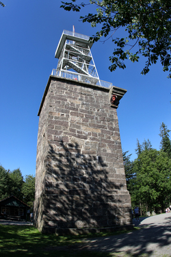 Борнхольм, Лес Алминдинген, Остатки крепости Гамлеборг. Almindingen forest.