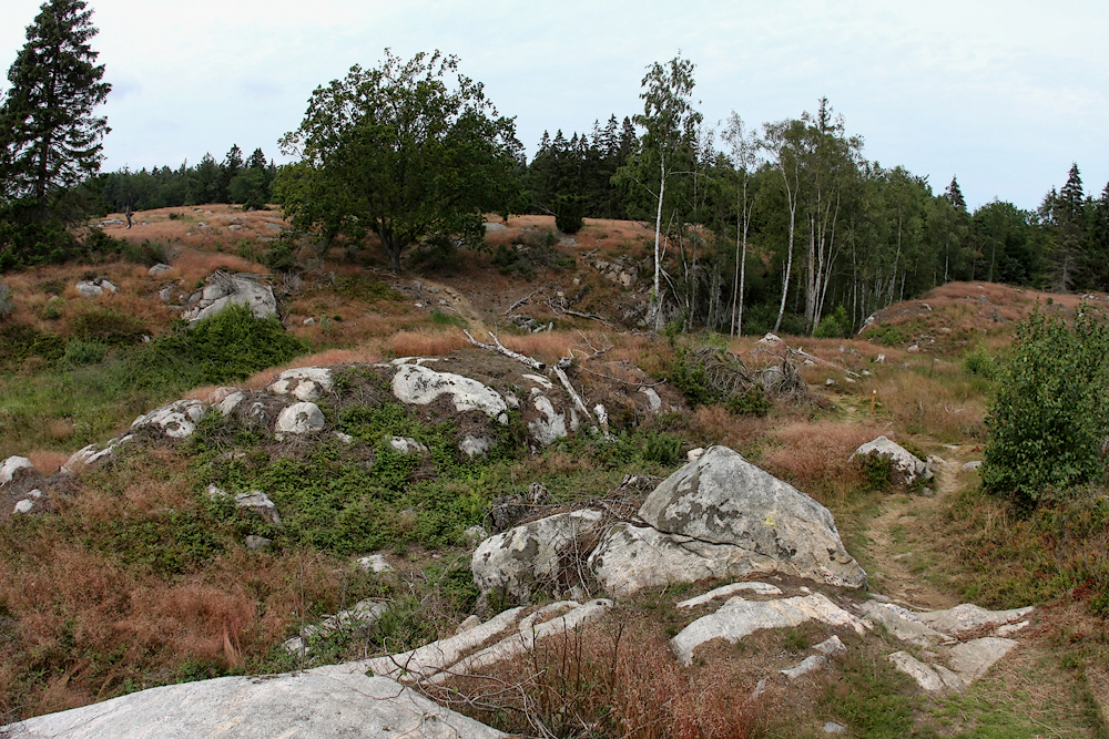 Борнхольм, Лес Алминдинген, "Райская долина". Almindingen forest, "The heavenly valley" El bosque de Almindingen, "El valle paradisiaco"