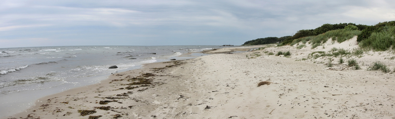 Борнхольм. Песчаные дюны в Dueodde. Sand dunes of Dueodde, Dunas en Dueodde