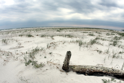 Борнхольм. Песчаные дюны в Dueodde. Sand dunes of Dueodde. Dunas en Dueodde.