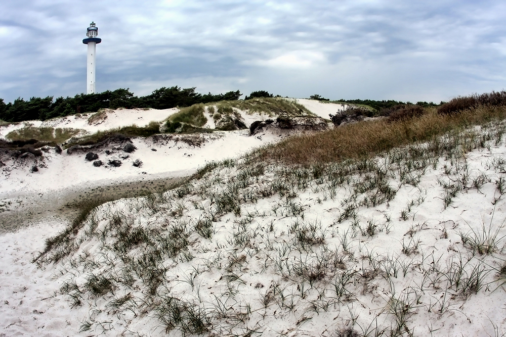 Борнхольм, Песчаные дюны в Dueodde. Sand dunes of Dueodde, Dunas en Dueodde.