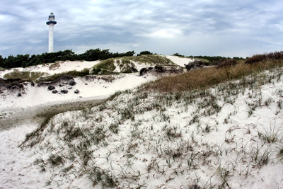 Борнхольм, Песчаные дюны в Dueodde. Sand dunes of Dueodde, Dunas en Dueodde.