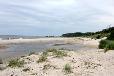 Борнхольм, Песчаные дюны в Dueodde. Sand dunes of Dueodde, Dunas en Dueodde