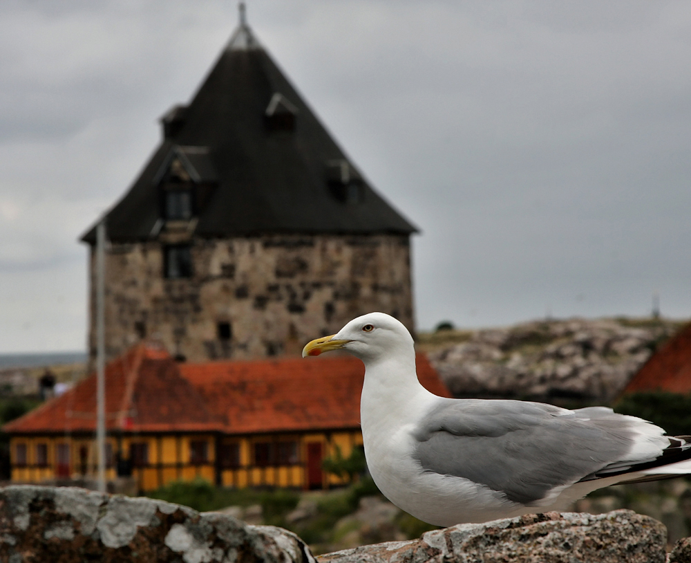 Борнхольм, Остров Кристиансё. Island of Kristians&#248;. Isla de Kristians&#248;.