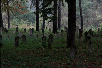 Старое кладбище в Високо.