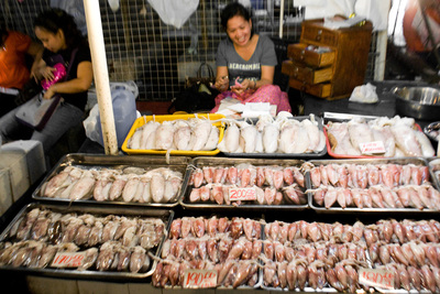 Головоногие. Так продают на рыбном рынке в Маниле каракатиц и кальмаров.