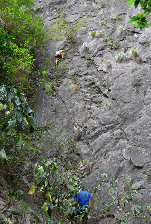 Sacrament 5.10a.