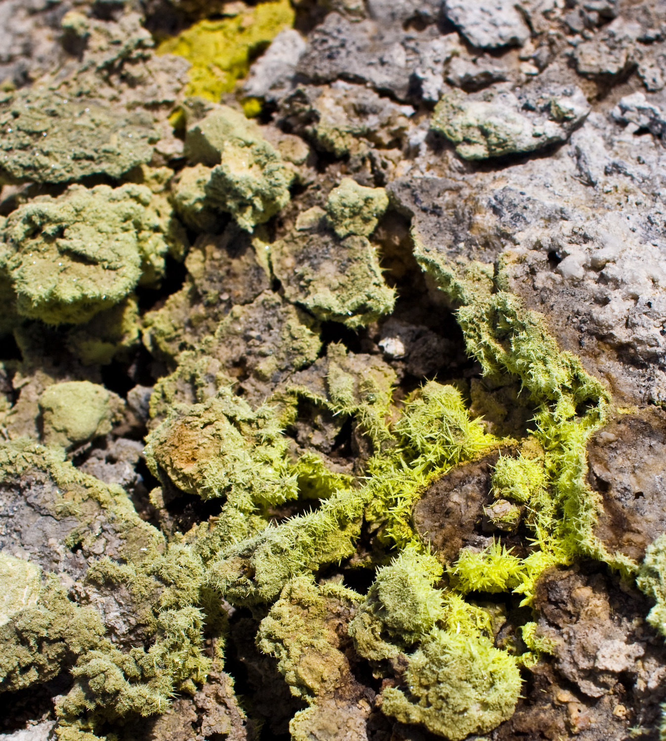 Сера. Кристаллы серы на камнях в кратере вулкана Таал.