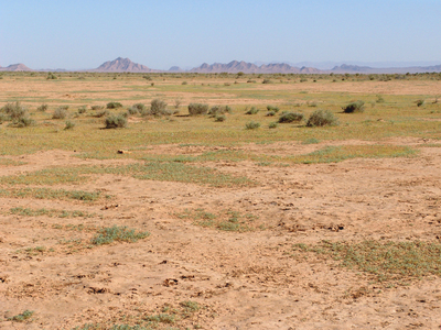 Пустыня Намак недалеко от Гонабада.