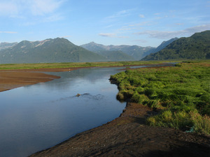 Река Жировая.