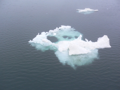 Льдины в водах Охотского моря.