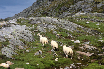 Норвегия, Мёре-о-Ромсдал. Norway, M&#248;re-og-Romsdal