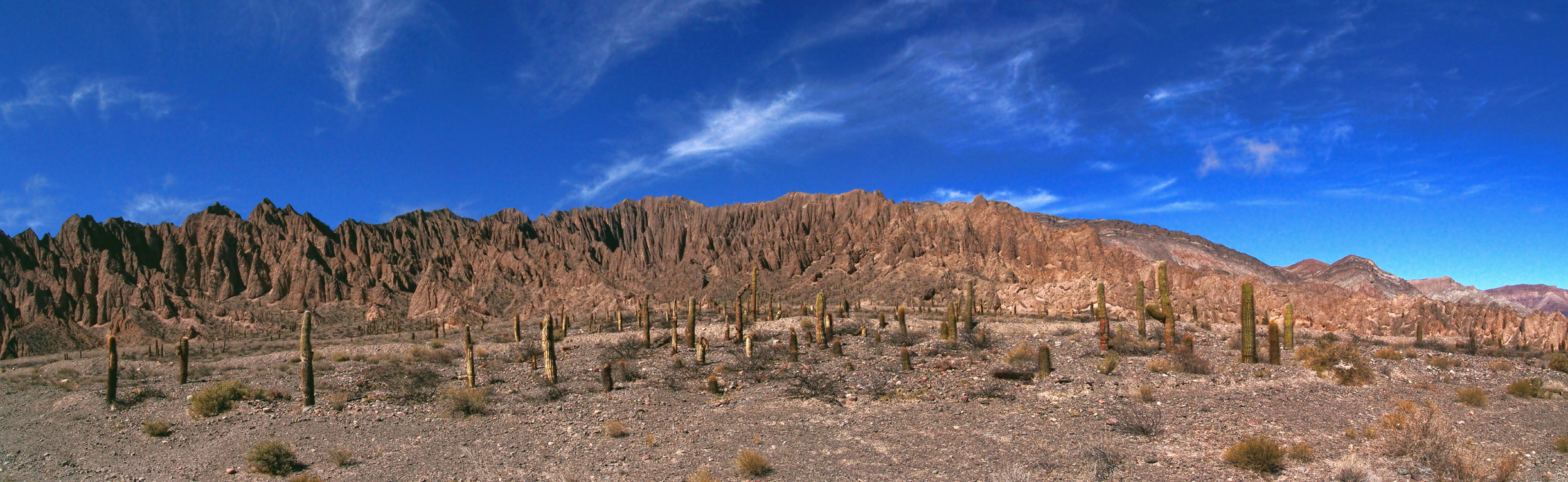 По дороге в San Antonio de los Cobres.