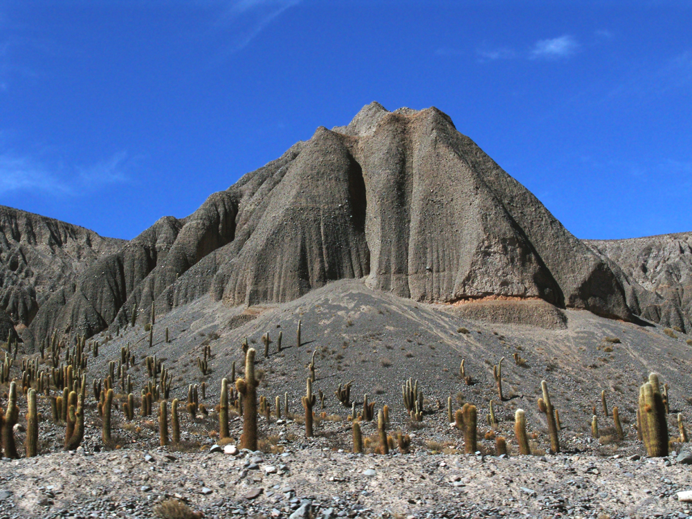 Кактусы "Los Cardones".