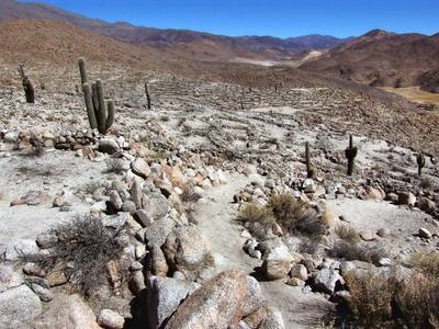 Доинкские руины по дороге в San Antonio de los Cobres.