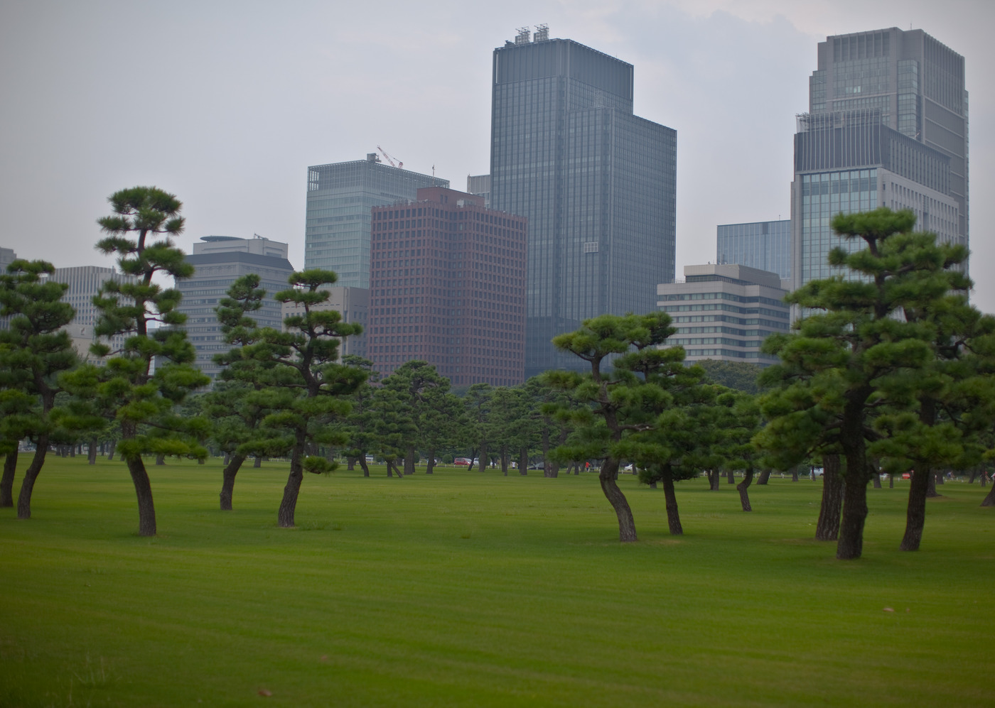 Токийский центральный парк.