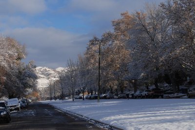 Солт Лейк Сити, окрестности Университета Юты. Зима.