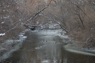 Menomonee River, в половодье и дожди бывает очень высока.