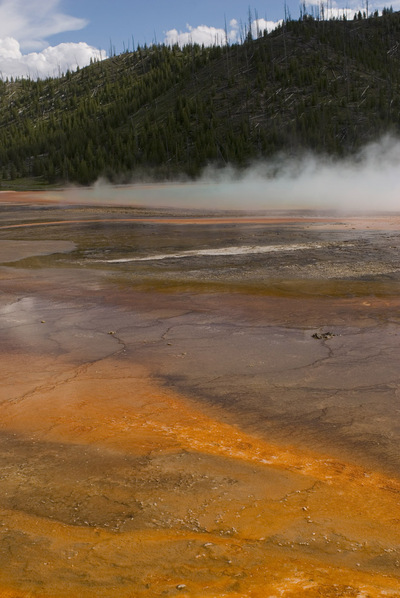 Lower geyser basin - бактериальные сообщества.