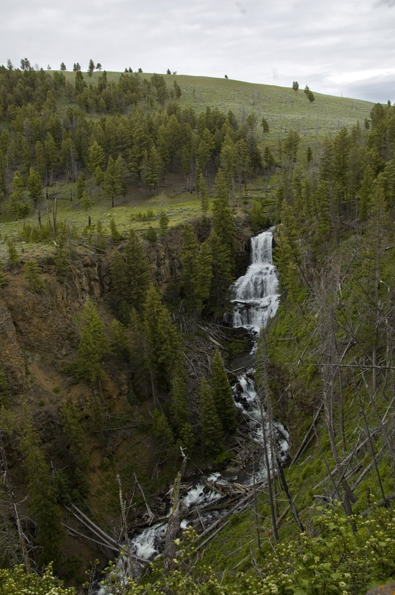 Останец в каньоне речки Yellowstone.